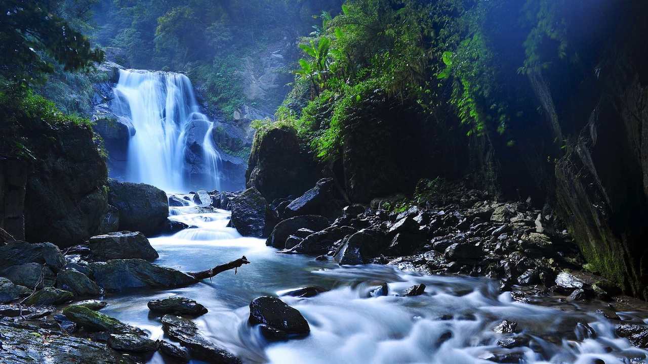 

Картина на холсте 60x110 LinxOne "Природа, пейзаж, натура, флора