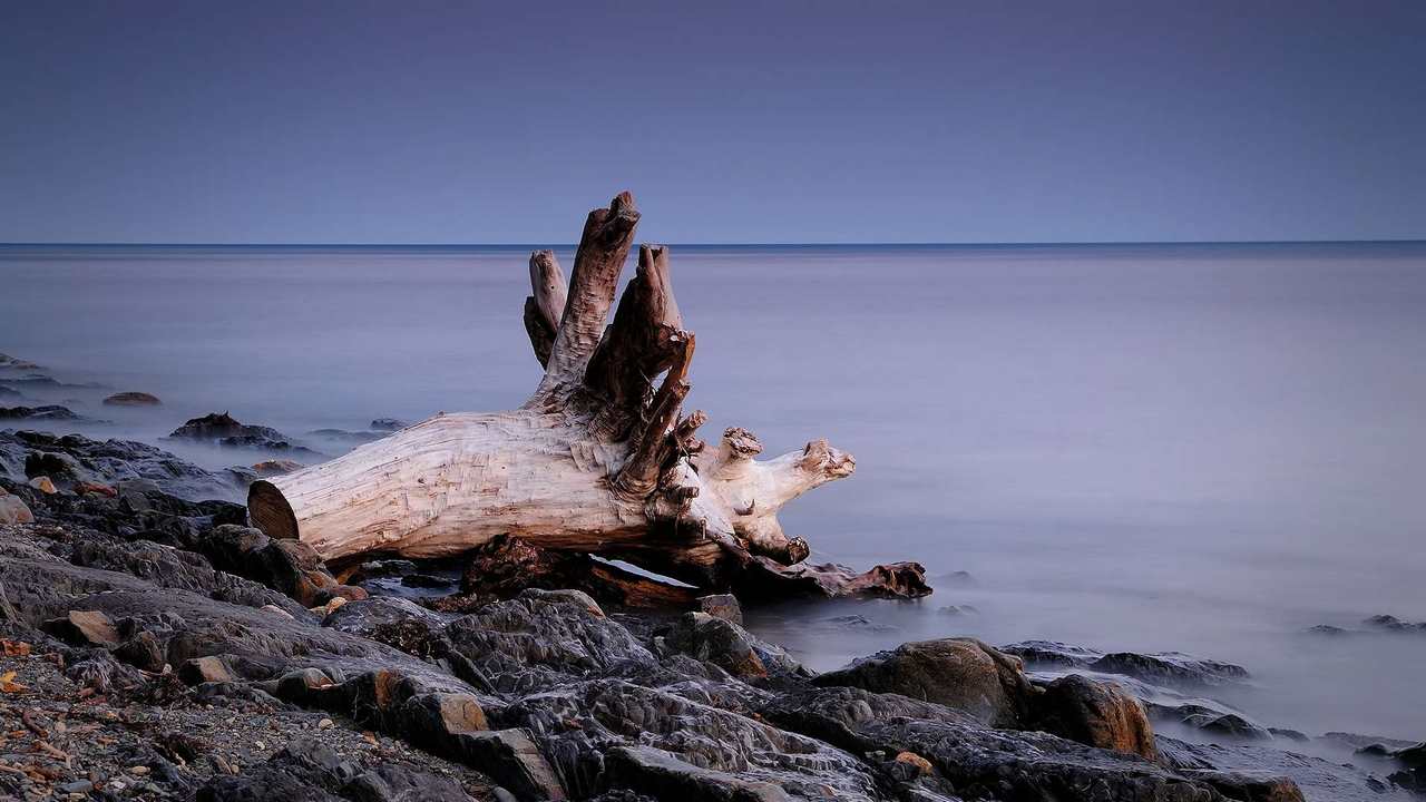 

Картина на холсте 60x110 LinxOne "Природа, пейзаж, натура, флора