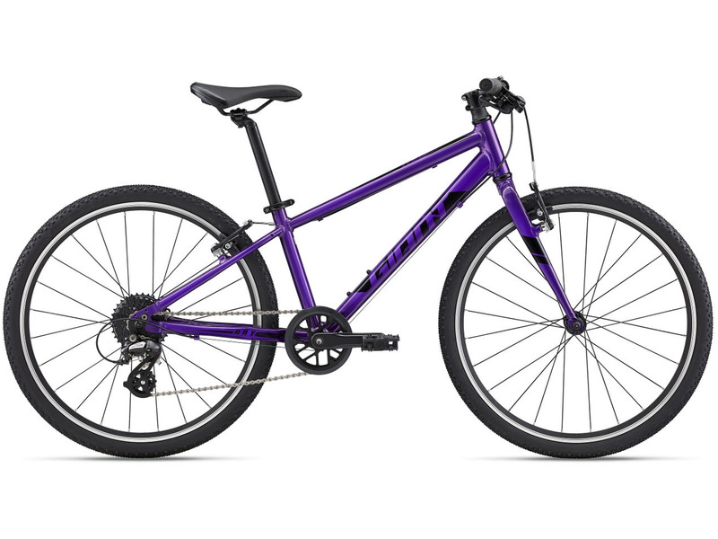 Подростковый велосипед Giant ARX 24, год 2022, цвет Фиолетовый