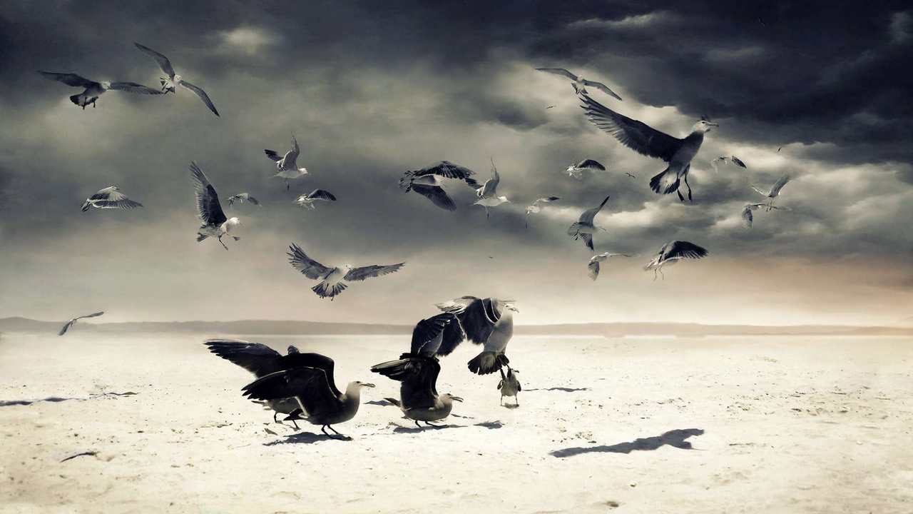 

Картина на холсте 60x110 LinxOne "Природа, пейзаж, натура, флора