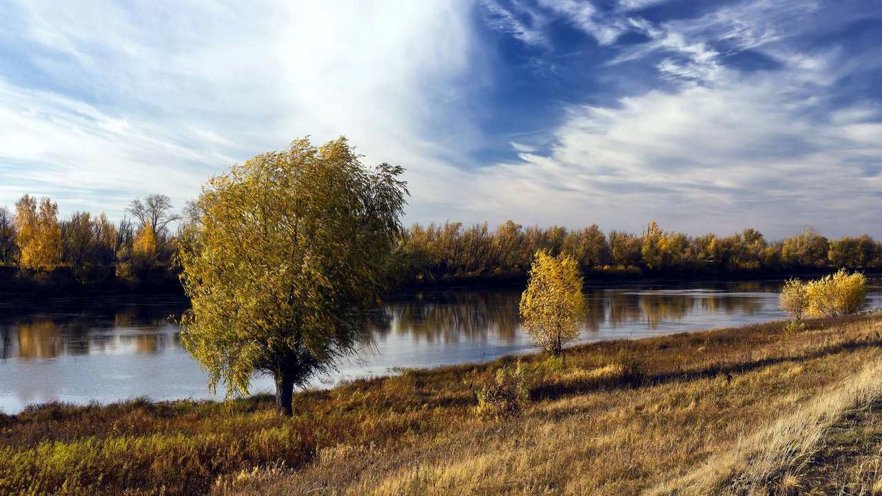 

Картина на холсте 60x110 LinxOne "Природа, пейзаж, натура, флора