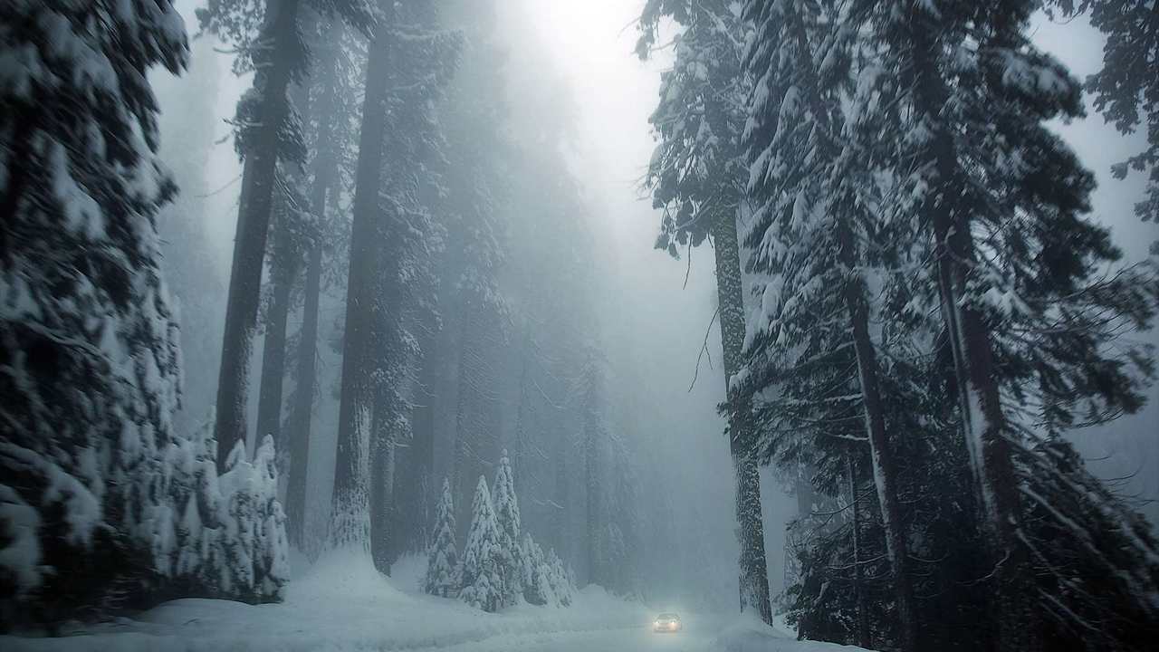 

Картина на холсте 60x110 LinxOne "Природа, пейзаж, натура, флора