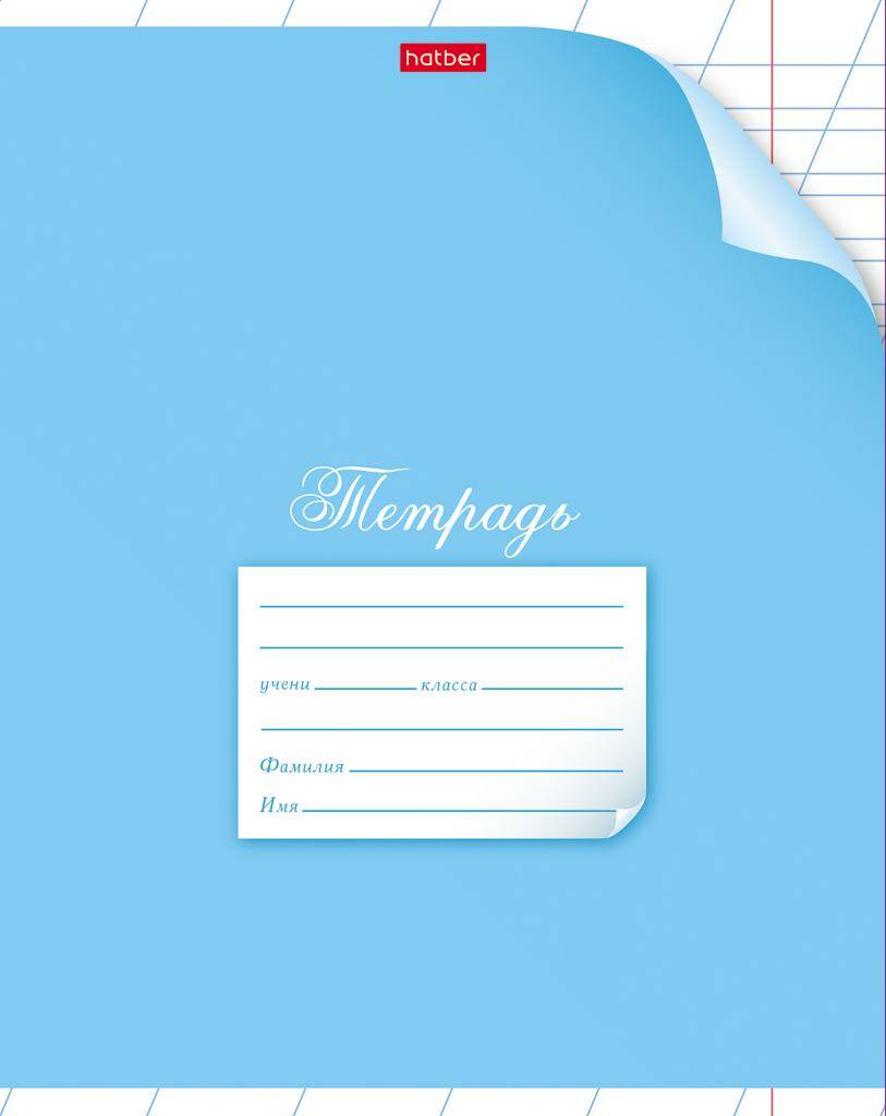 

Тетрадь Hatber косая линия на скобе, 12 л