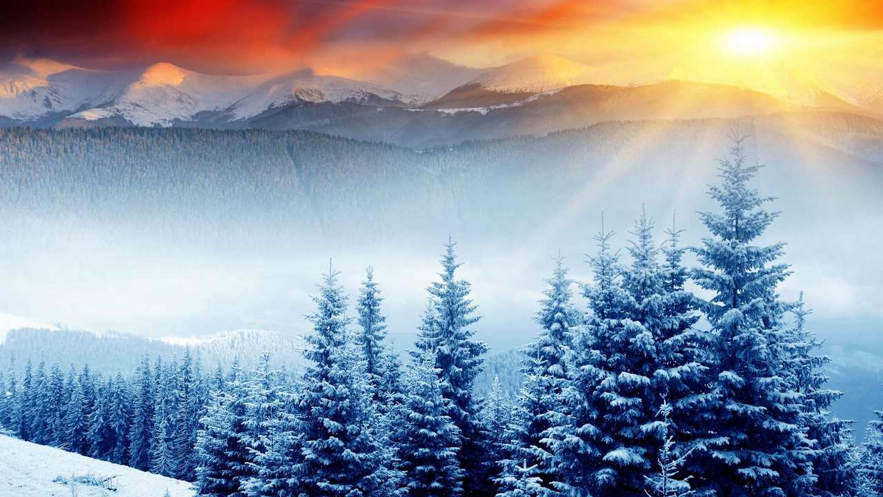 

Картина на холсте 60x110 LinxOne "Природа, пейзаж, натура, флора
