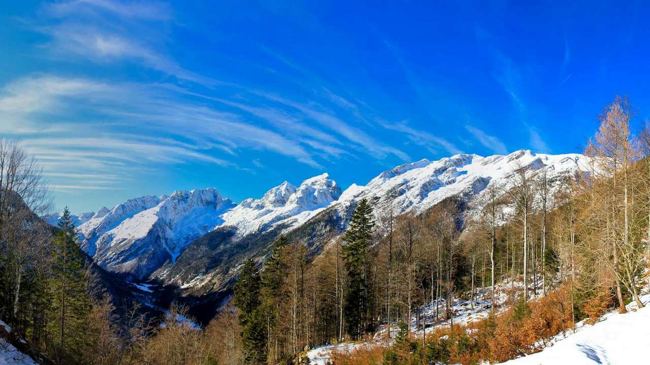 

Картина на холсте 60x110 LinxOne "Природа, пейзаж, натура, флора