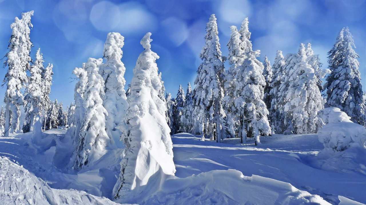 

Картина на холсте 60x110 LinxOne "Природа, пейзаж, натура, флора