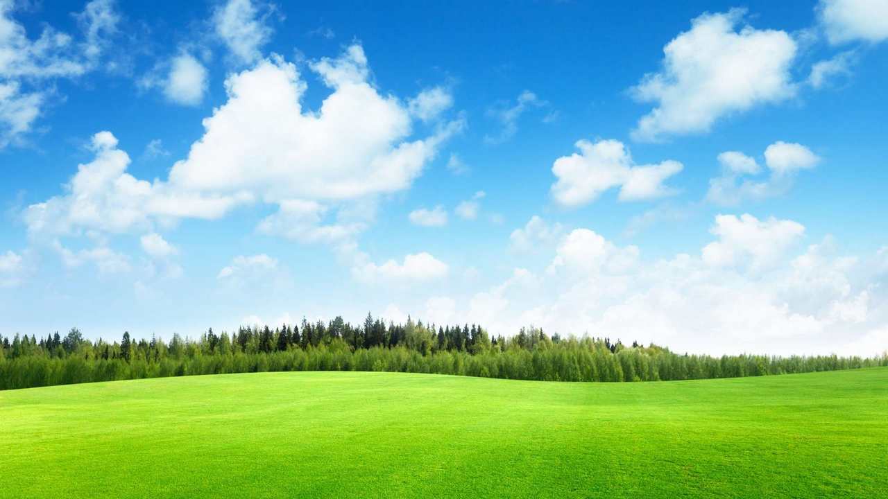 

Картина на холсте 60x110 LinxOne "Природа, пейзаж, натура, флора