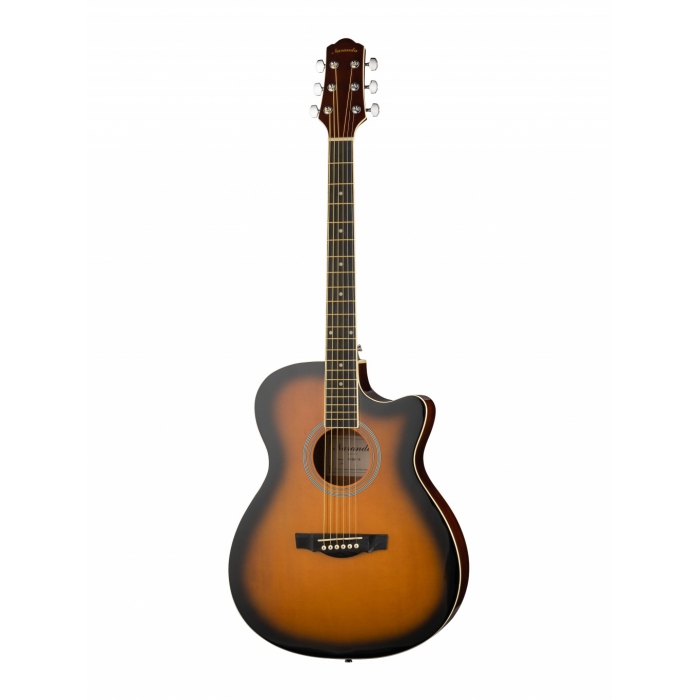 

Акустическая гитара с вырезом Naranda TG120CTS