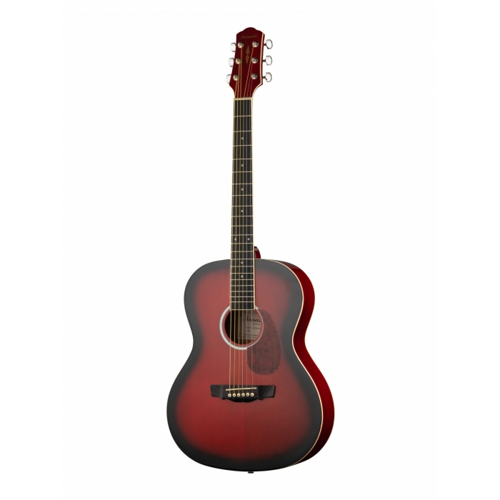 

Акустическая фолк-гитара Naranda CAG280RDS