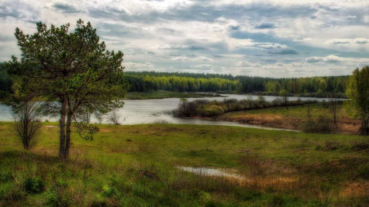 

Картина на холсте 60x110 LinxOne "Природа, пейзаж, натура, флора