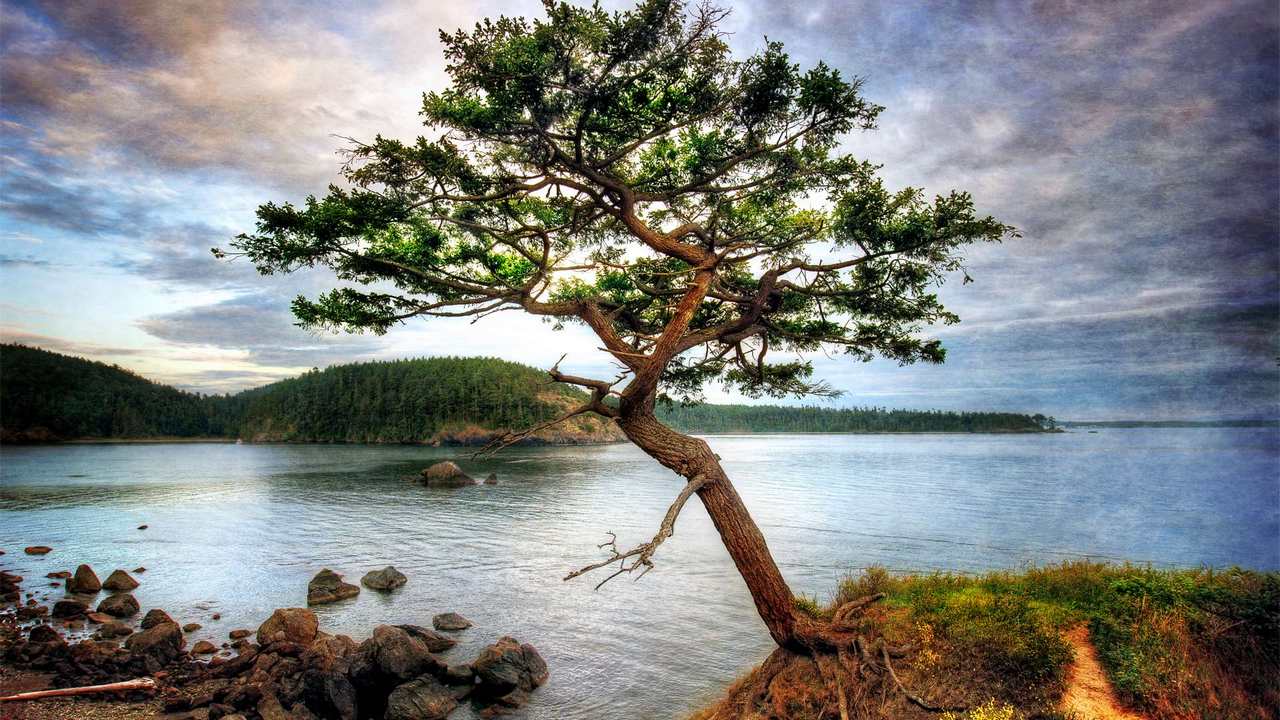 

Картина на холсте 60x110 LinxOne "Природа, пейзаж, натура, флора