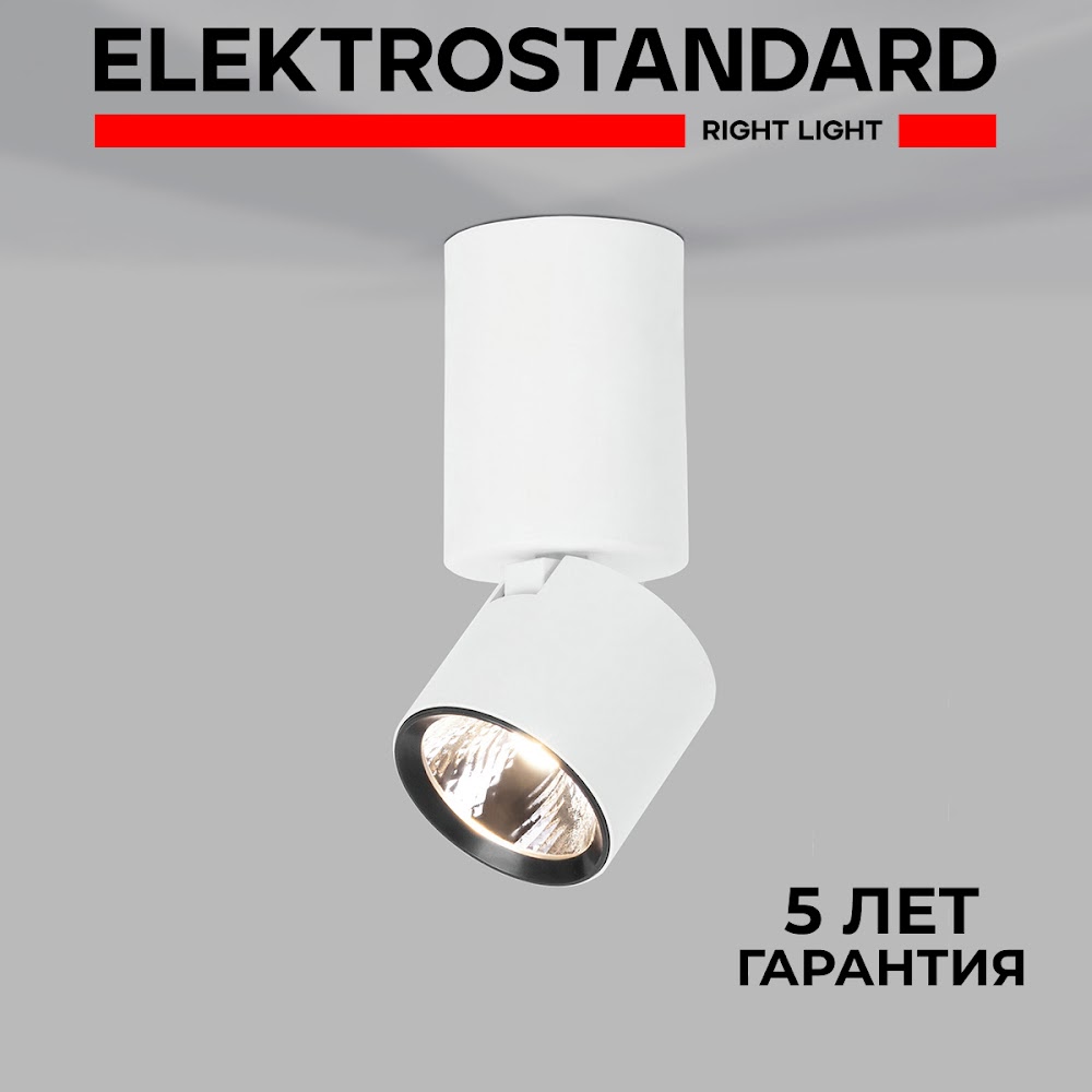 

Накладной потолочный светильник Elektrostandard Sens 25042/LED 10W 4000K белый, Sens 190923