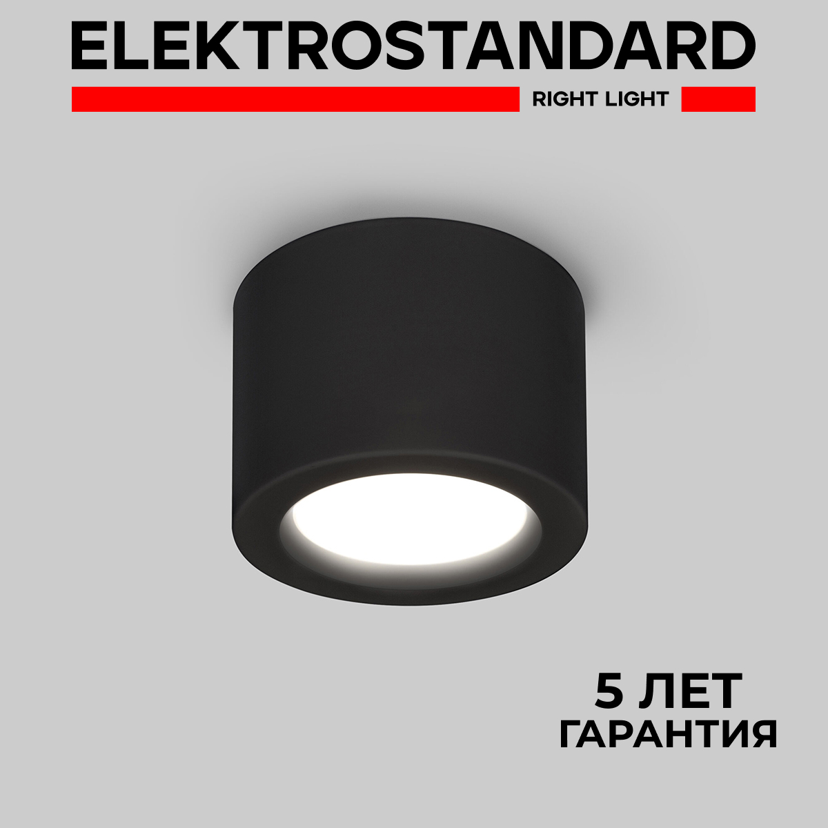 

Накладной потолочный светильник Elektrostandard DLR026 6W 3000K черный матовый, DLR026 190923