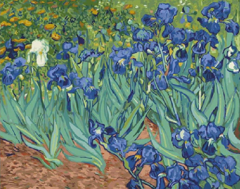 

Картина по номерам ВанГогВоМне Ирисы, 40x50, Ирисы