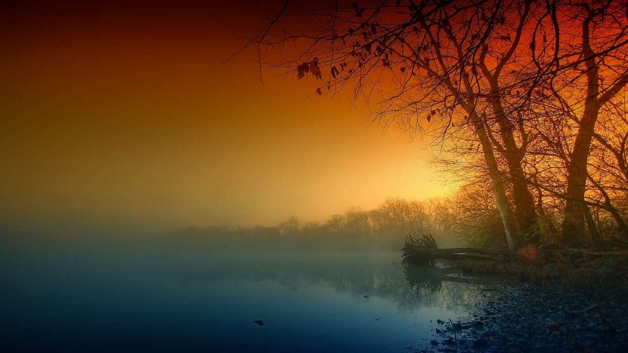 

Картина на холсте 60x110 LinxOne "Природа, пейзаж, натура, флора