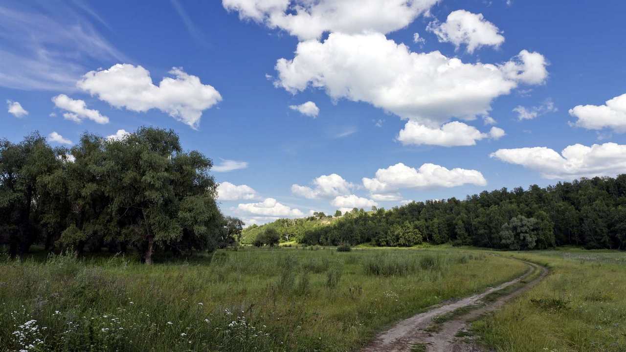 

Картина на холсте 60x110 LinxOne "Природа, пейзаж, натура, флора