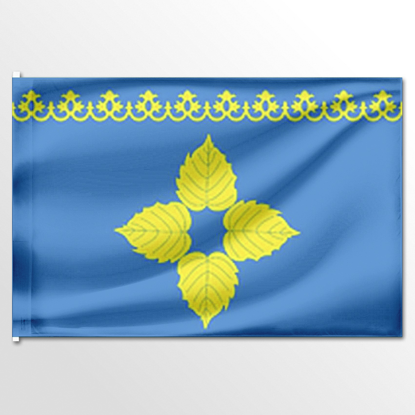 

Флаг ЦТП ФЕНИКС Заволжского сельского поселения 135x90 см, 6853-135x90