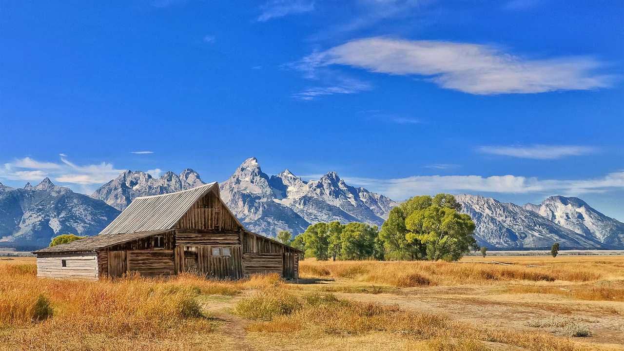 

Картина на холсте 60x110 LinxOne "Природа, пейзаж, натура, флора
