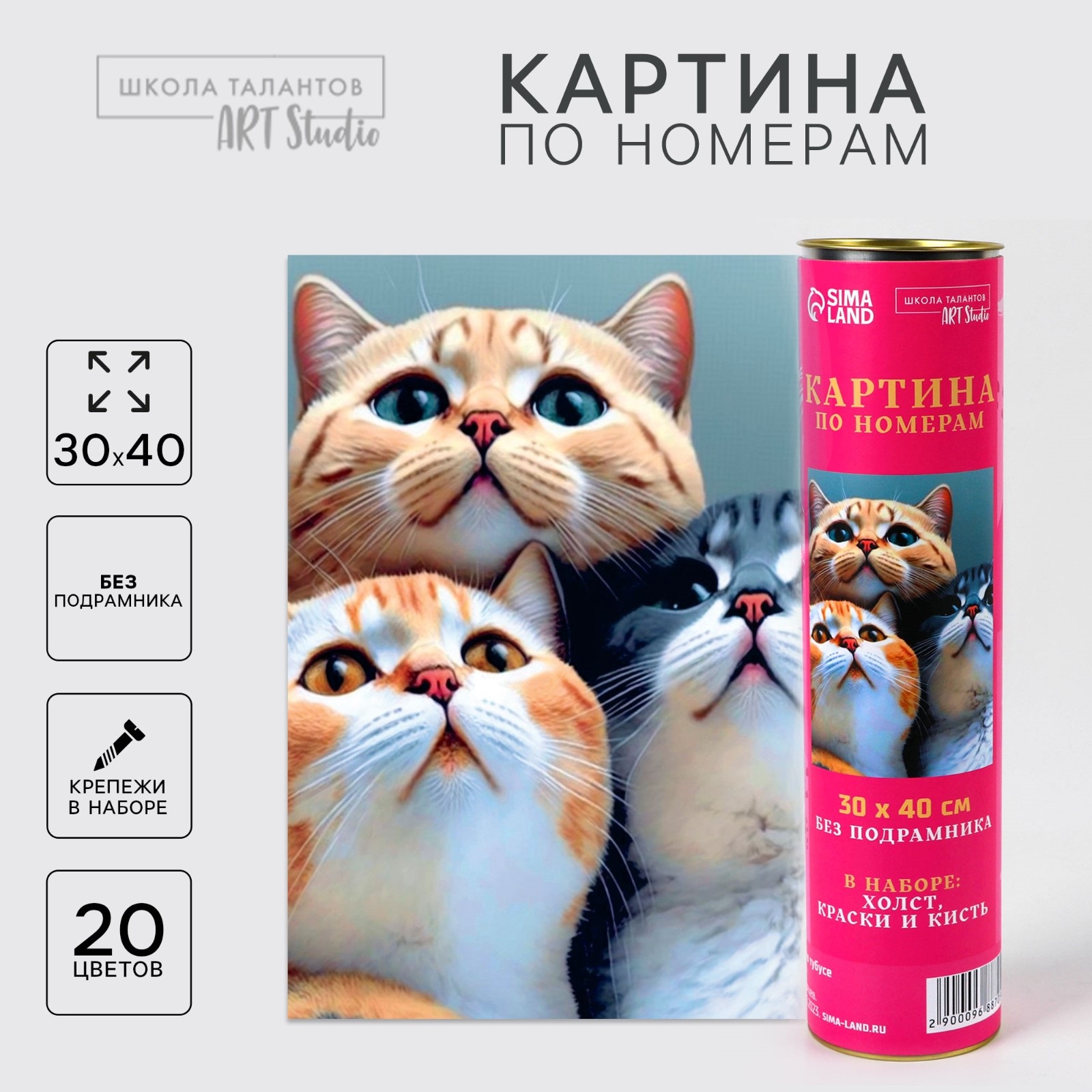 

Картина по номерам Школа талантов Котята в тубусе, 30х40 см, Котята