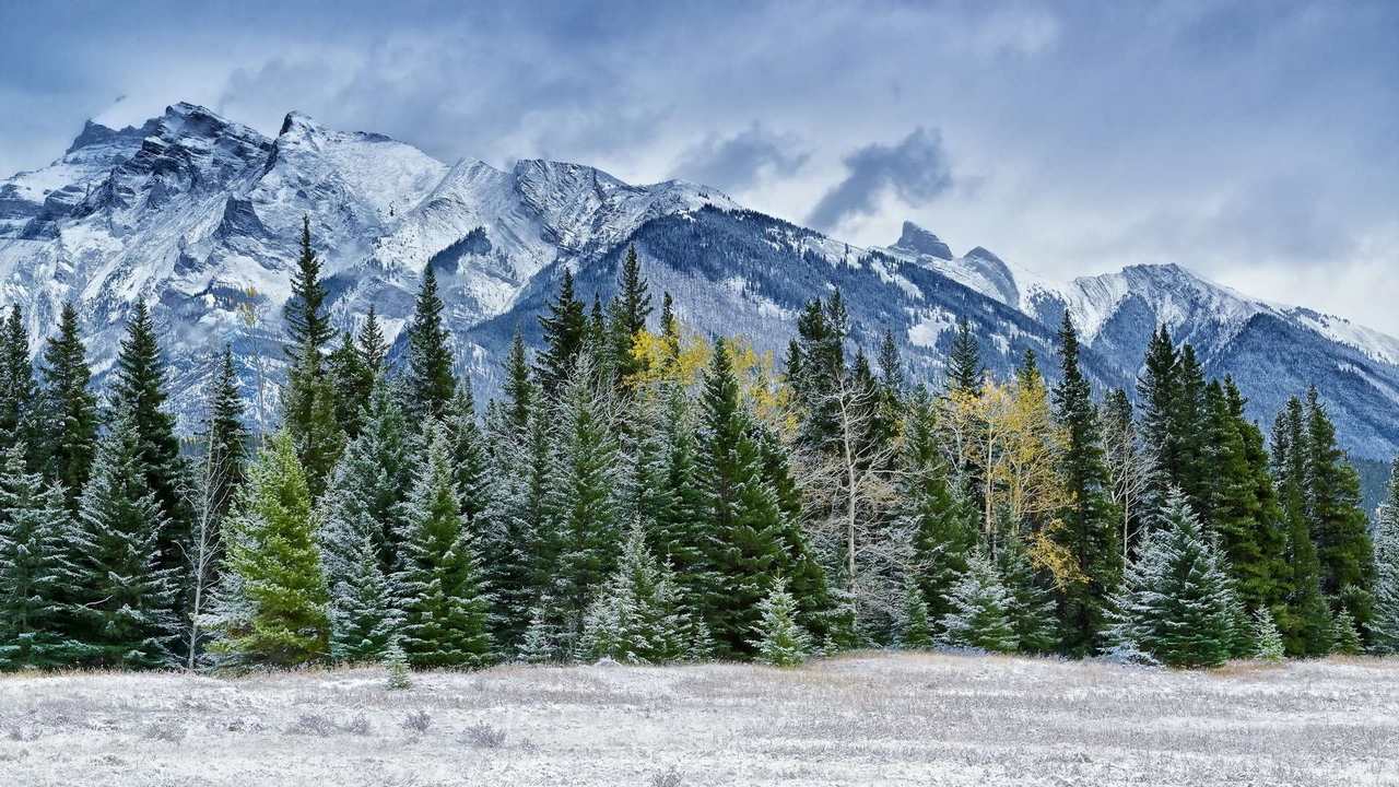 

Картина на холсте 60x110 LinxOne "Природа, пейзаж, натура, флора