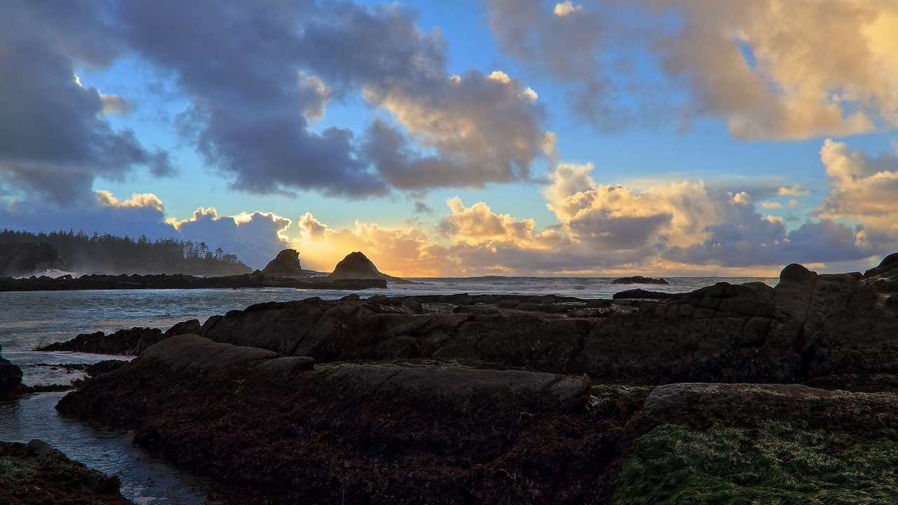 

Картина на холсте 60x110 LinxOne "Природа, пейзаж, натура, флора