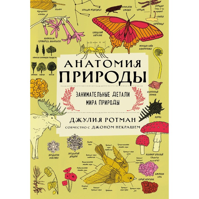 

Анатомия природы. Занимательные детали мира природы. Ротман Джулия