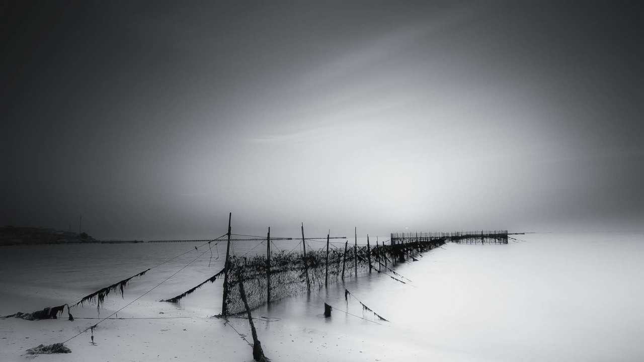 

Картина на холсте 60x110 LinxOne "Природа, пейзаж, натура, флора