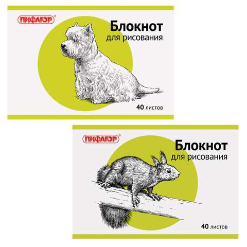 

Блокнот для рисования Пифагор Животные, 40л., А4, арт. 104875, 10 шт.