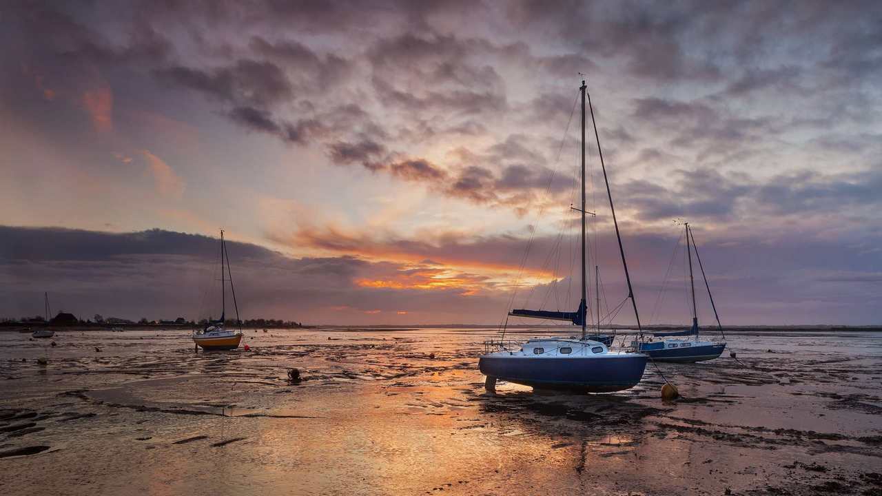 

Картина на холсте 60x110 LinxOne "Природа, пейзаж, натура, флора