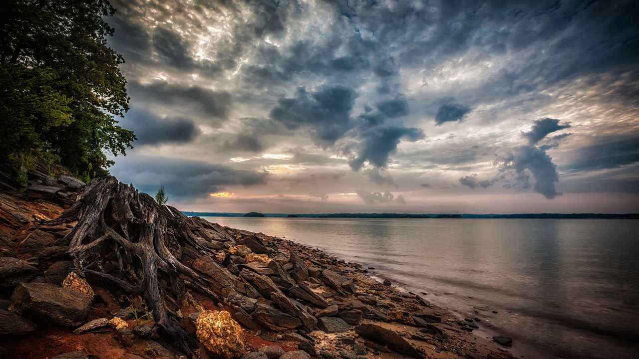 

Картина на холсте 60x110 LinxOne "Природа, пейзаж, натура, флора