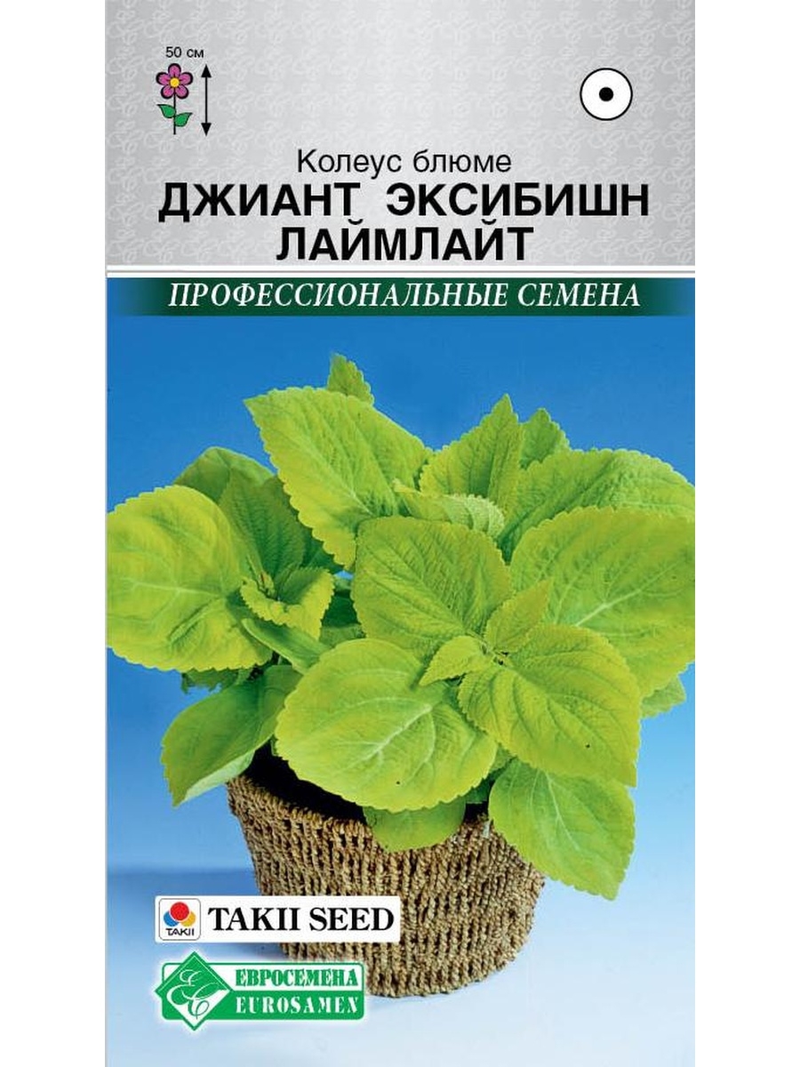 

Семена колеус Евросемена Джиант эксибишн лаймлайт 27411 1 уп.