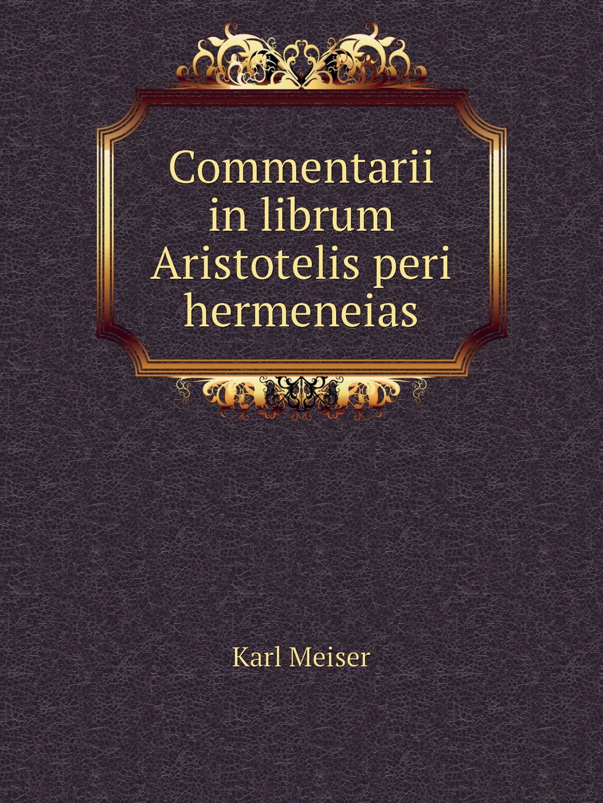 

Commentarii in librum Aristotelis peri hermeneias