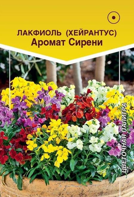 

Семена лакфиоль Евросемена Аромат сирени 27412 1 уп.