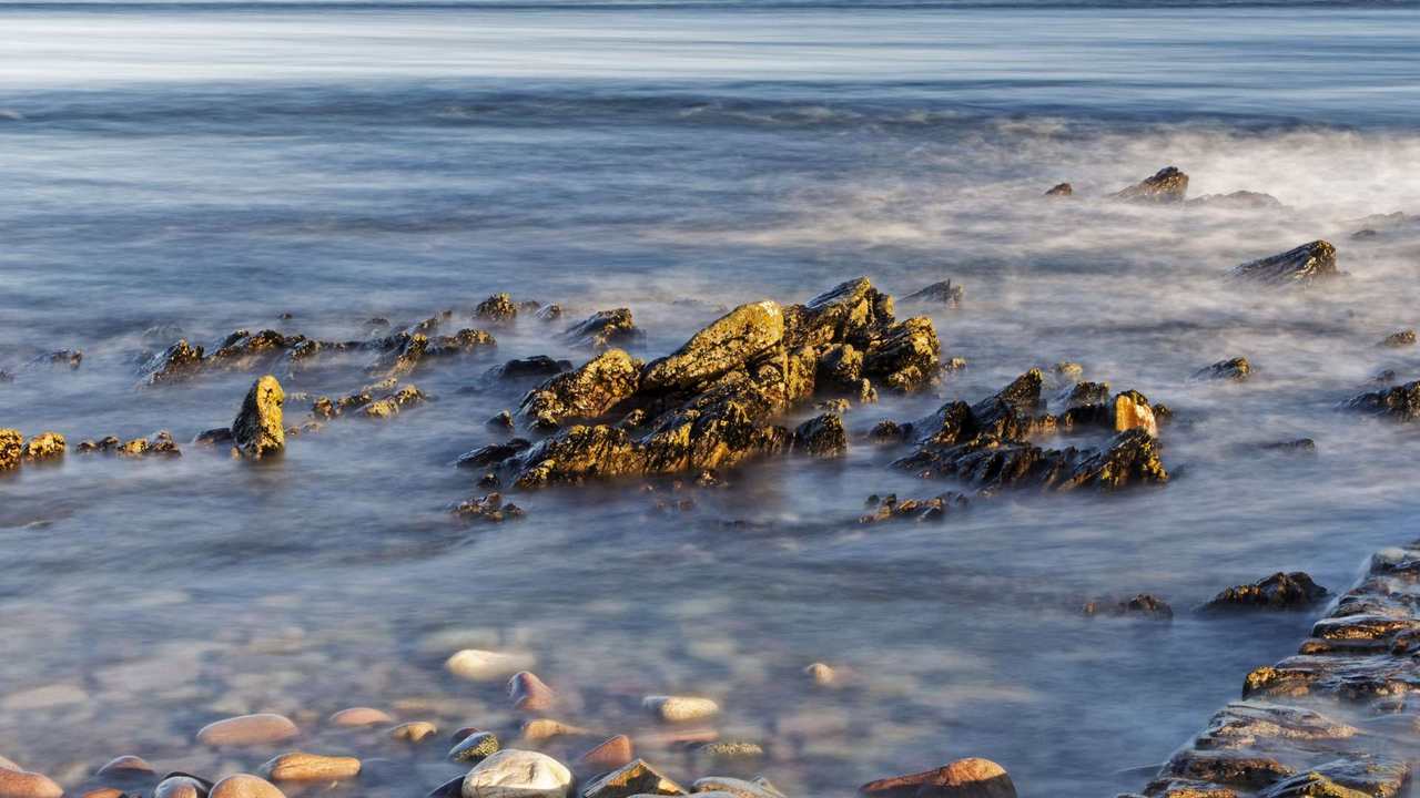 

Картина на холсте 60x110 LinxOne "Природа, пейзаж, натура, флора