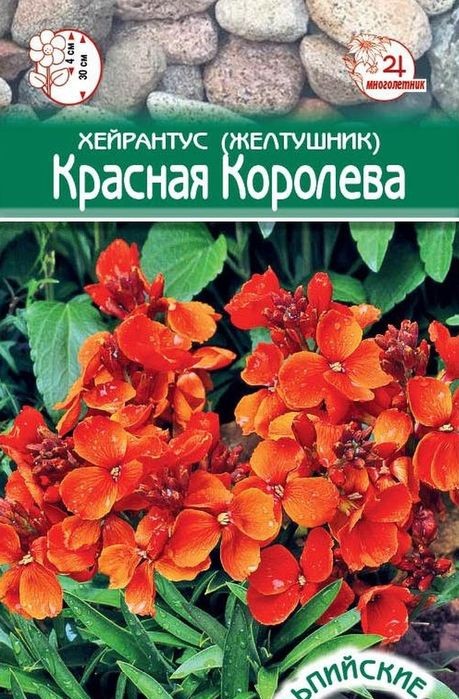 Семена хейрантус Евросемена Красная королева 27420 1 уп.