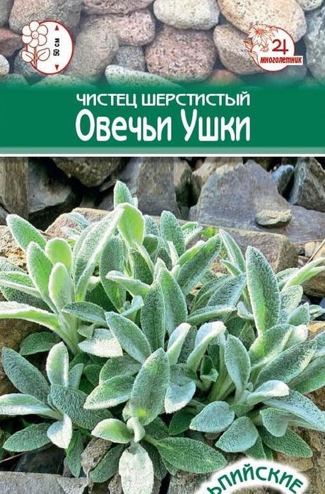 

Семена чистец Евросемена Овечьи ушки 27421 1 уп.