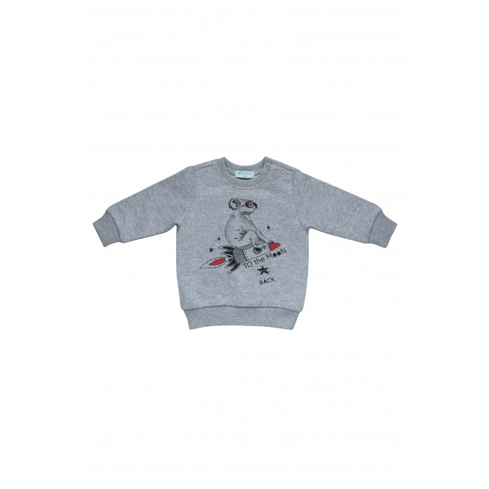 Свитшот детский Diva Kids DK-093, серый, 74