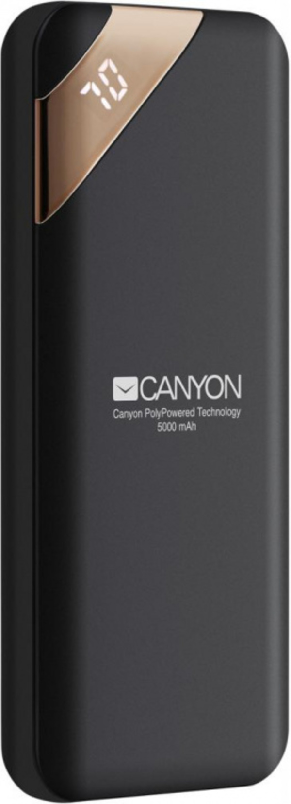 фото Canyon cne-cpbp5b 5000 мач (черный)