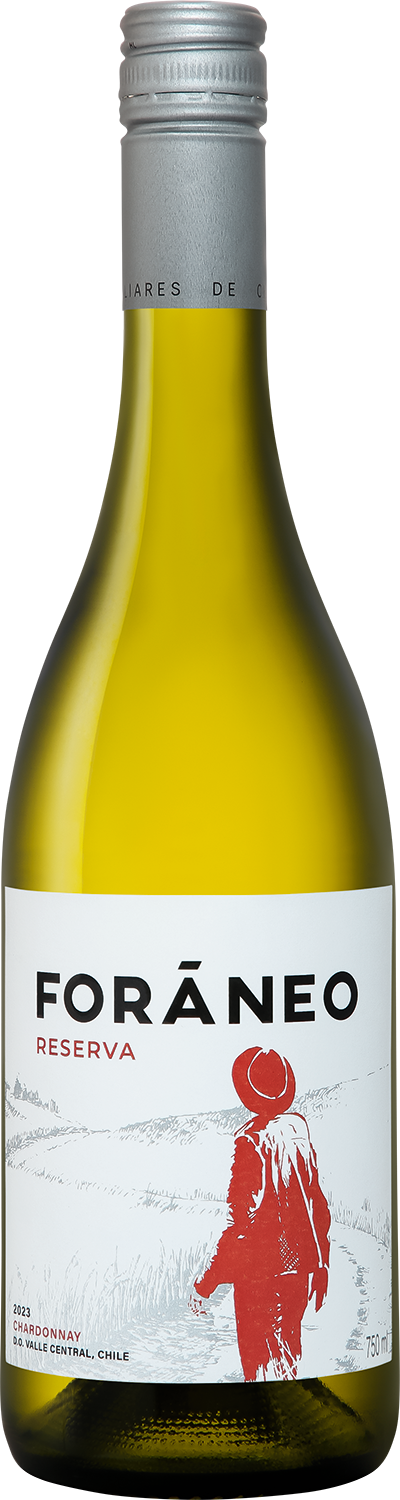

Вино белое сухое Vina Bouchon Foraneo Reserva Chardonnay Central Valley DO 12,5 % 0,75 л