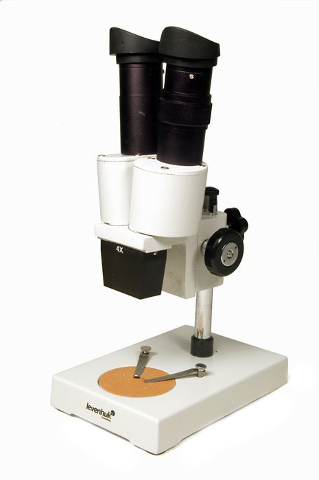 Купить Микроскоп Levenhuk 2ST, бинокулярный