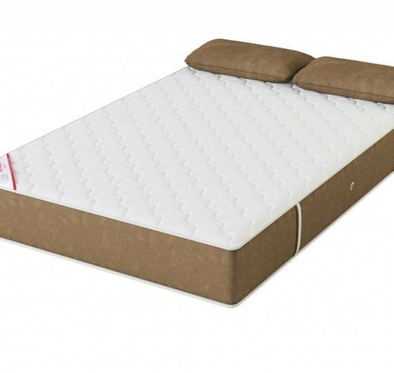 

Матрас анатомический пружинный Virtuoz Bravo 200х200х28, Белый, Bravo