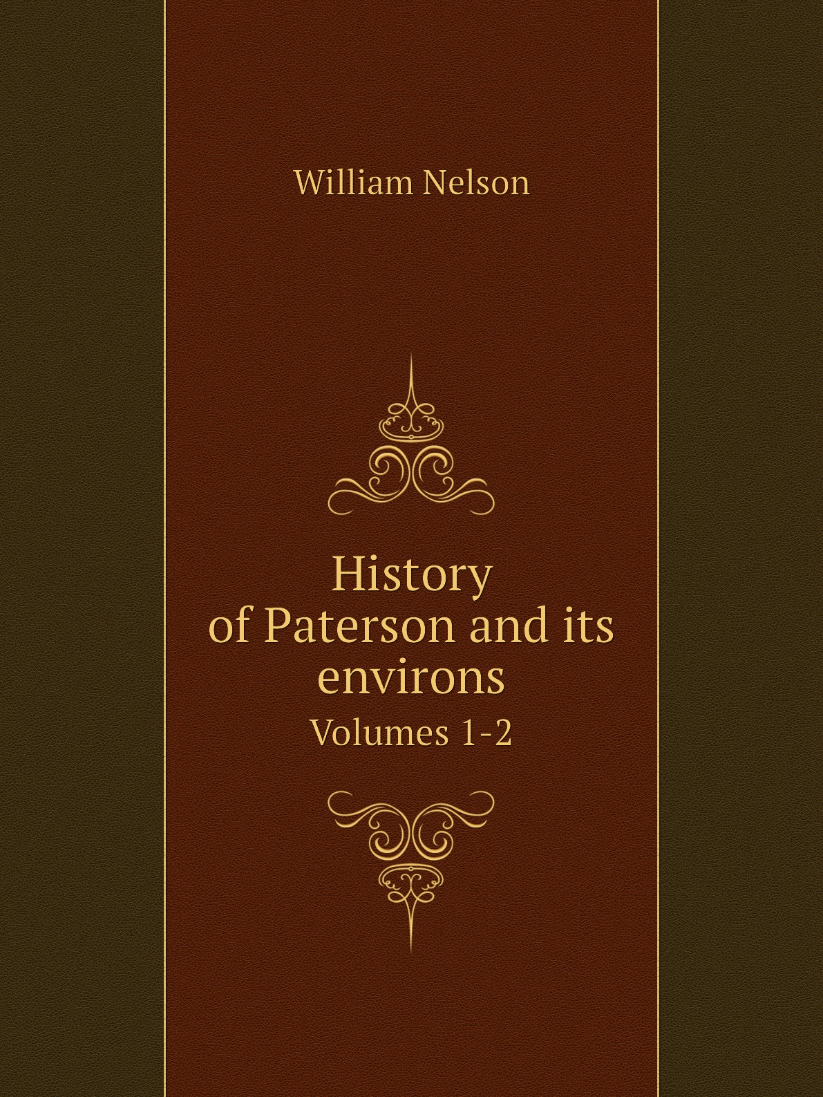 

History of Paterson and its environs