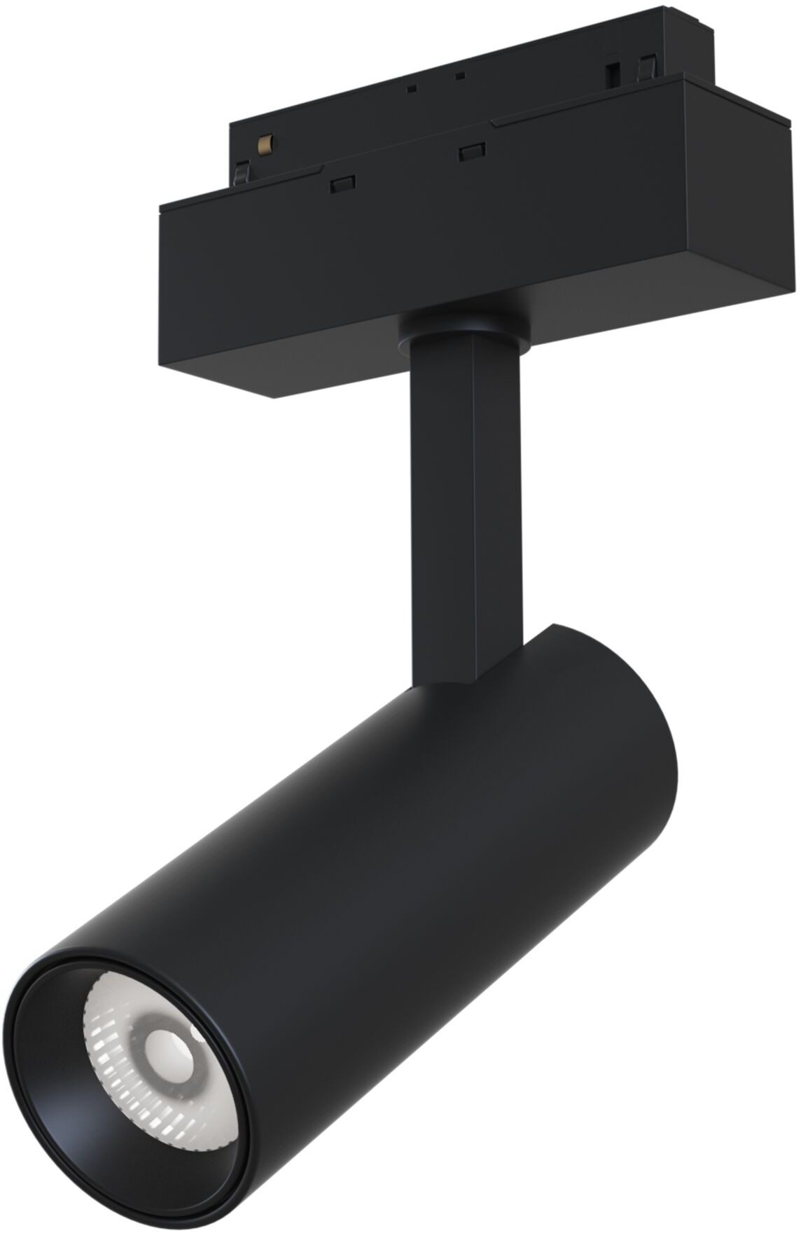 

MAYTONI Трековый светодиодный светильник Track Lamps TR019-2-10W4K-B Maytoni