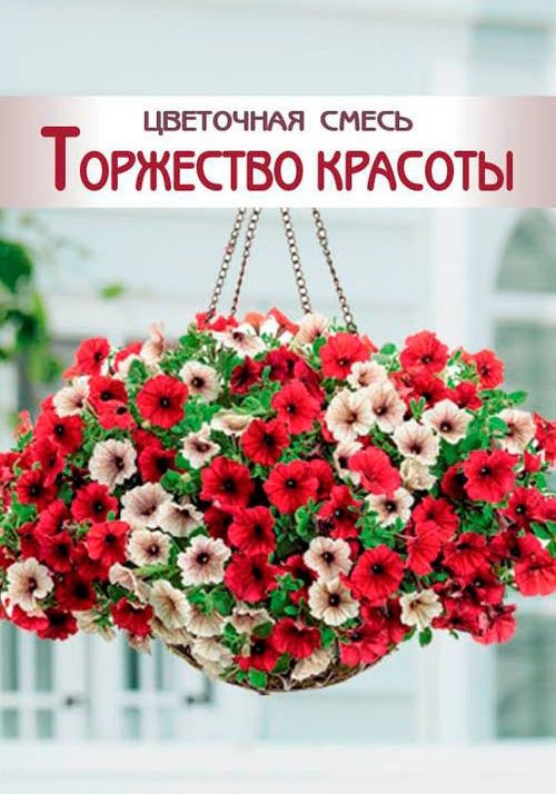 

Семена петуния Евросемена Торжество красоты 27430 1 уп.