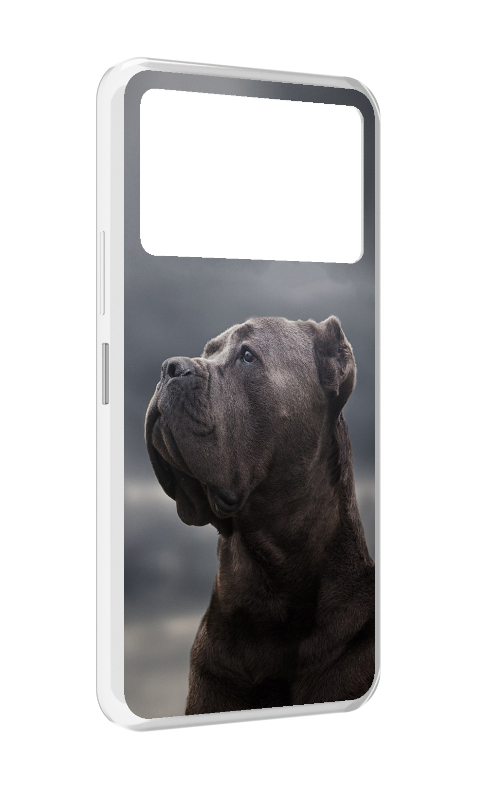 

Чехол MyPads кане корсо для Infinix NOTE 12 VIP (X672), Прозрачный, Tocco