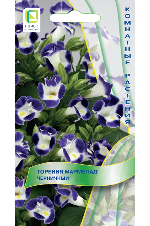 

Семена Торения Мармелад Черничный комнатные 5 шт.