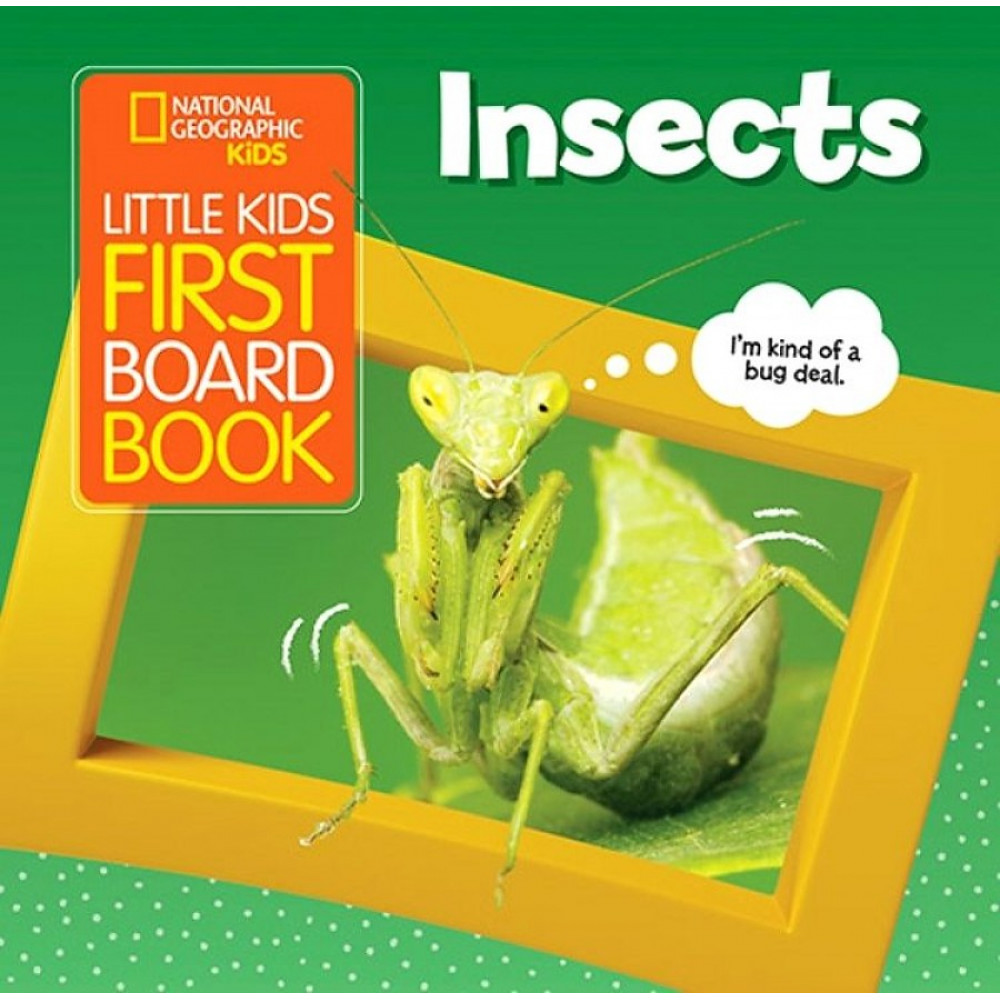 

Little Kids First Board Book: Insects