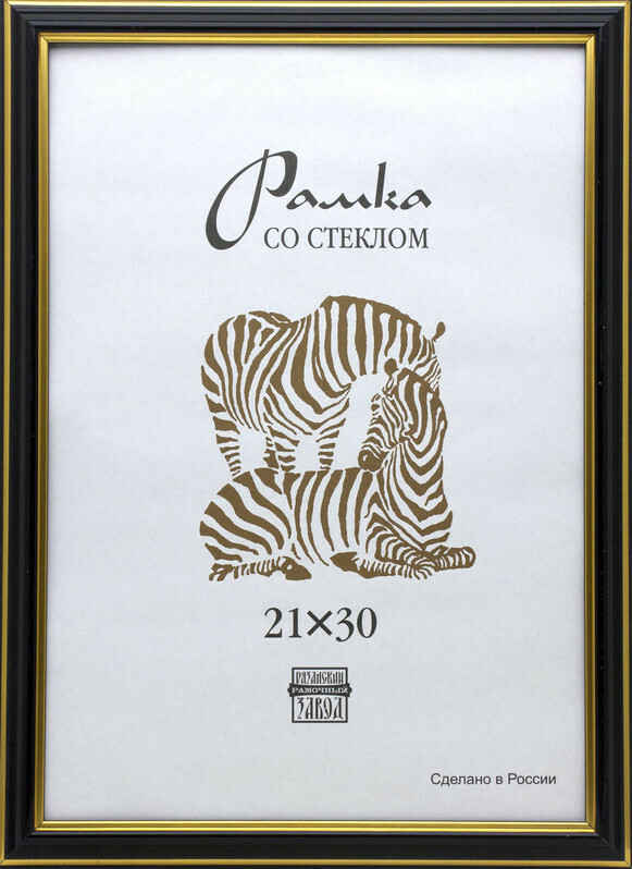 

Рамка пластиковая Зебра А4 (черный) 308