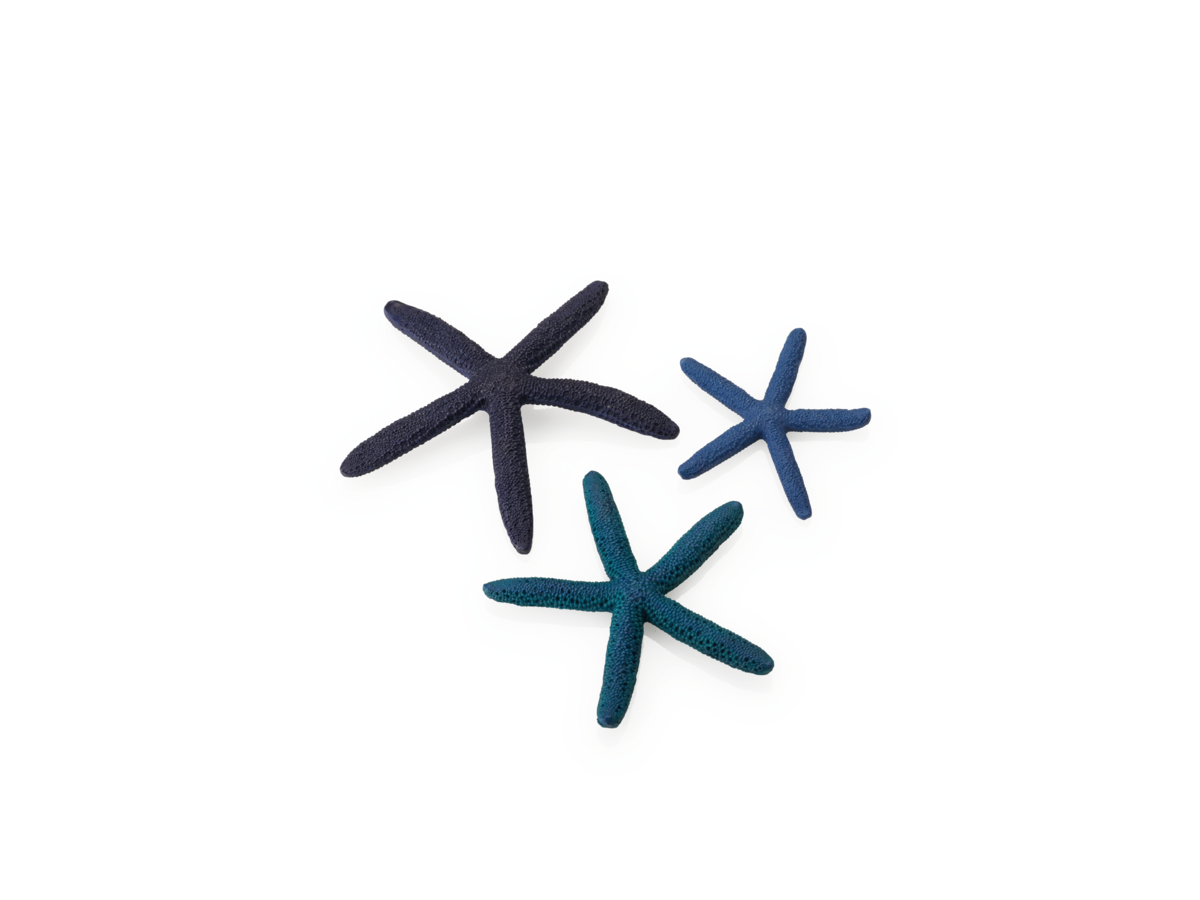Набор синих морских звезд, Starfish set 3 blue