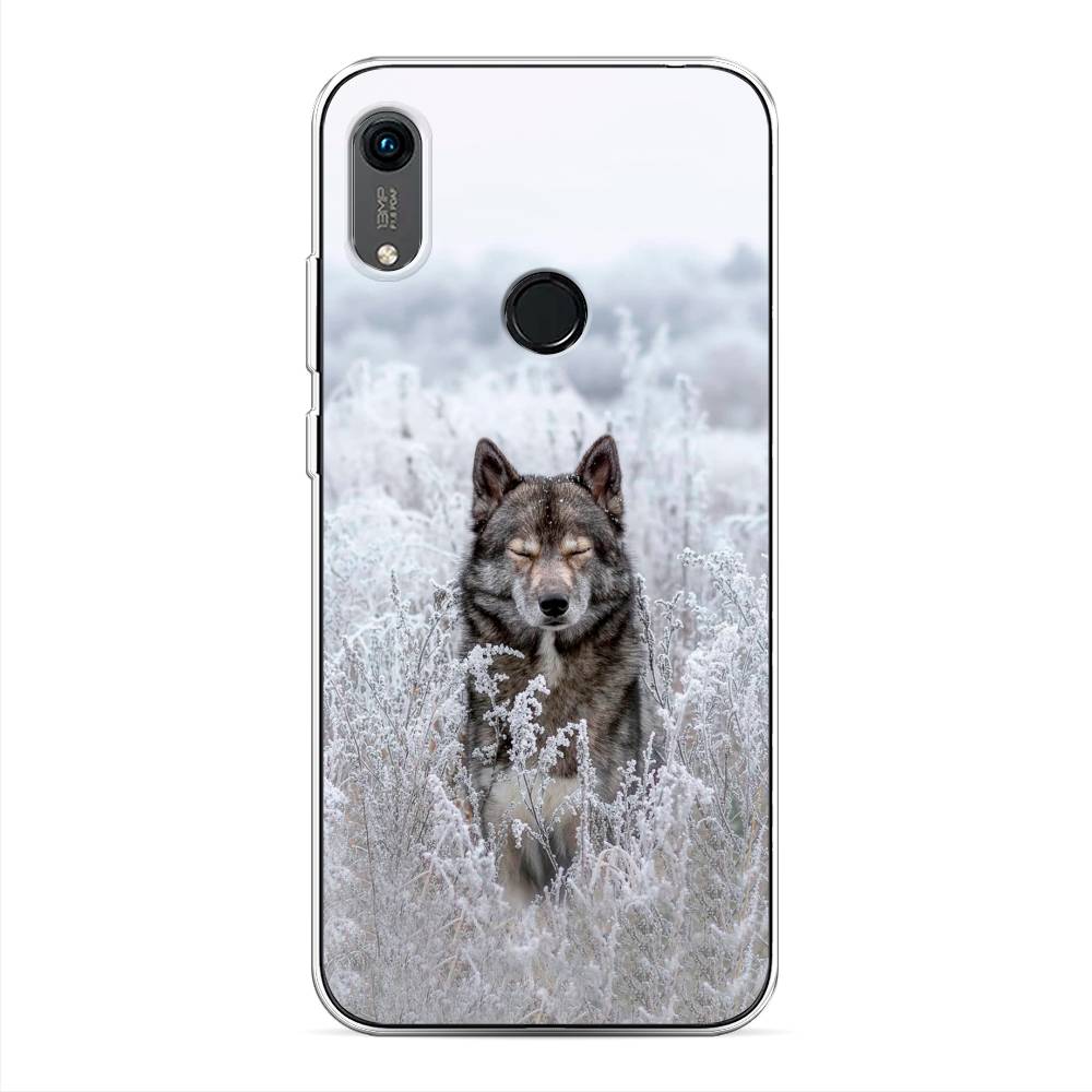 Чехол Awog  на Huawei Y6s 